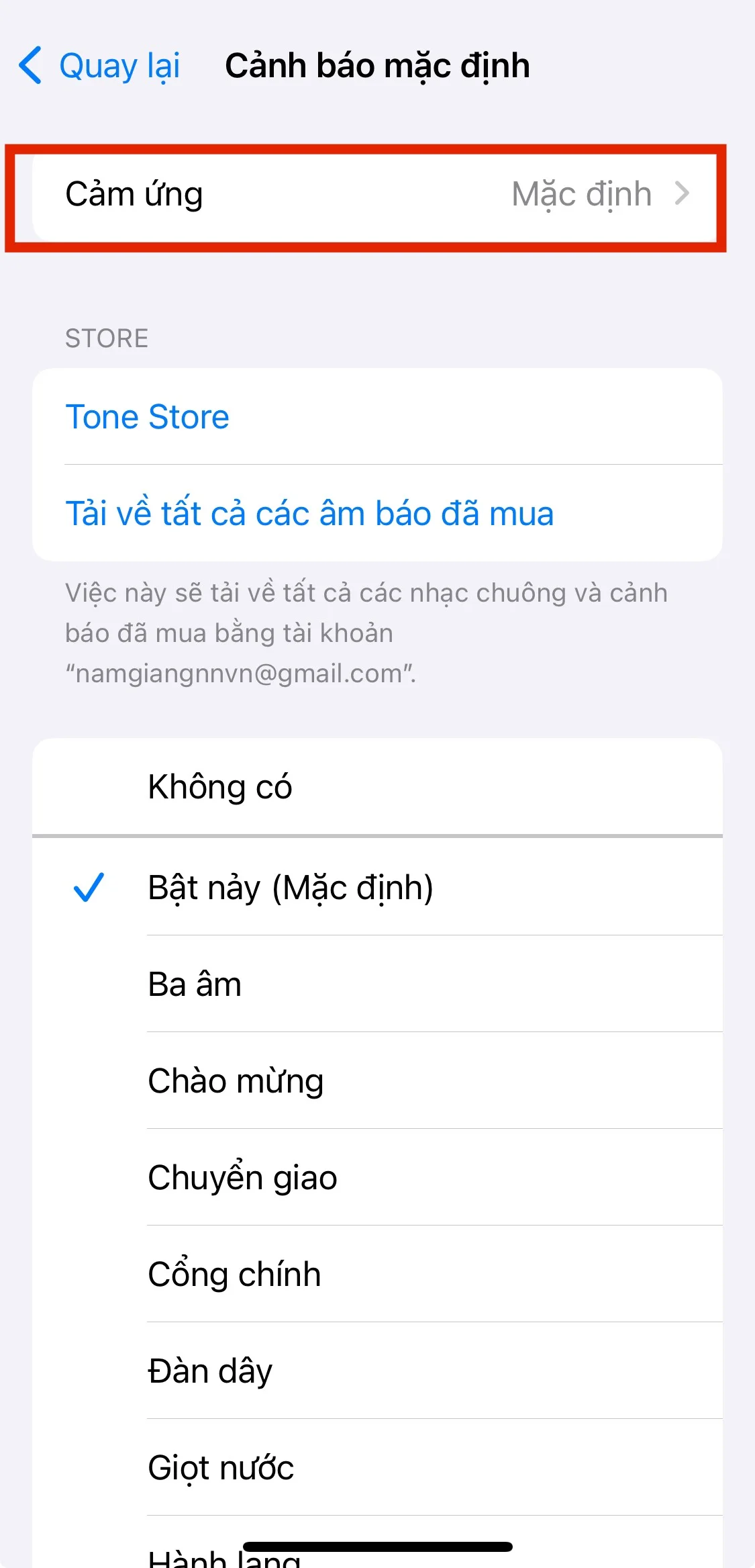Cách tùy chỉnh âm cảnh báo trên iPhone dễ dàng