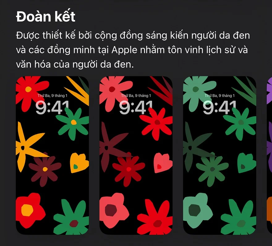 hình nền iPhone iOS 17.3