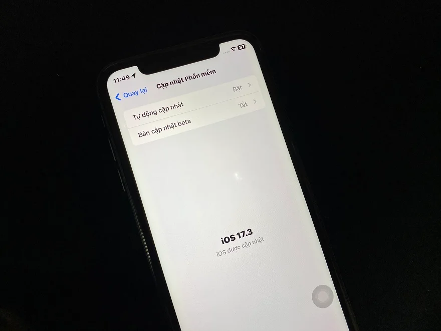 iPhone 12 iOS 17.3