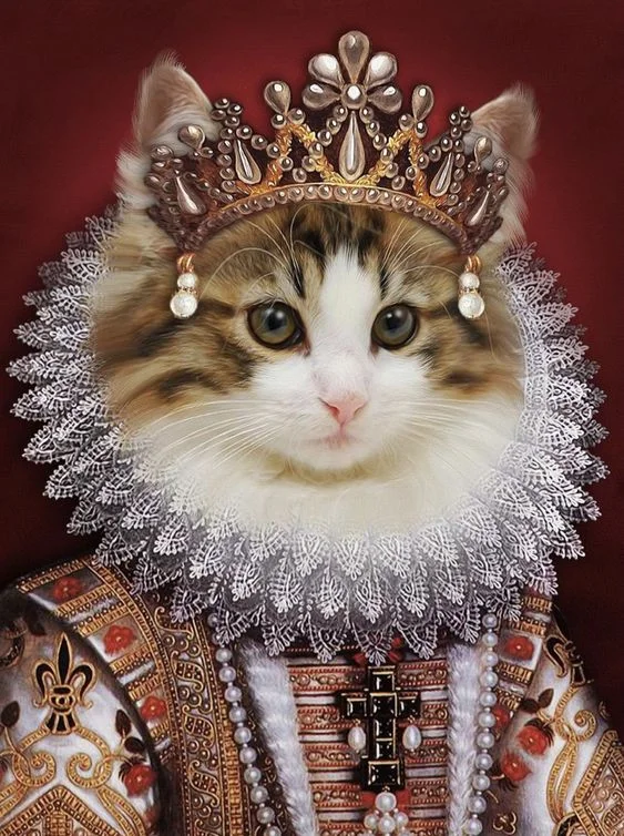 Bộ hình nền meme Mèo Đường Tăng “thỉnh cá” cực cute 