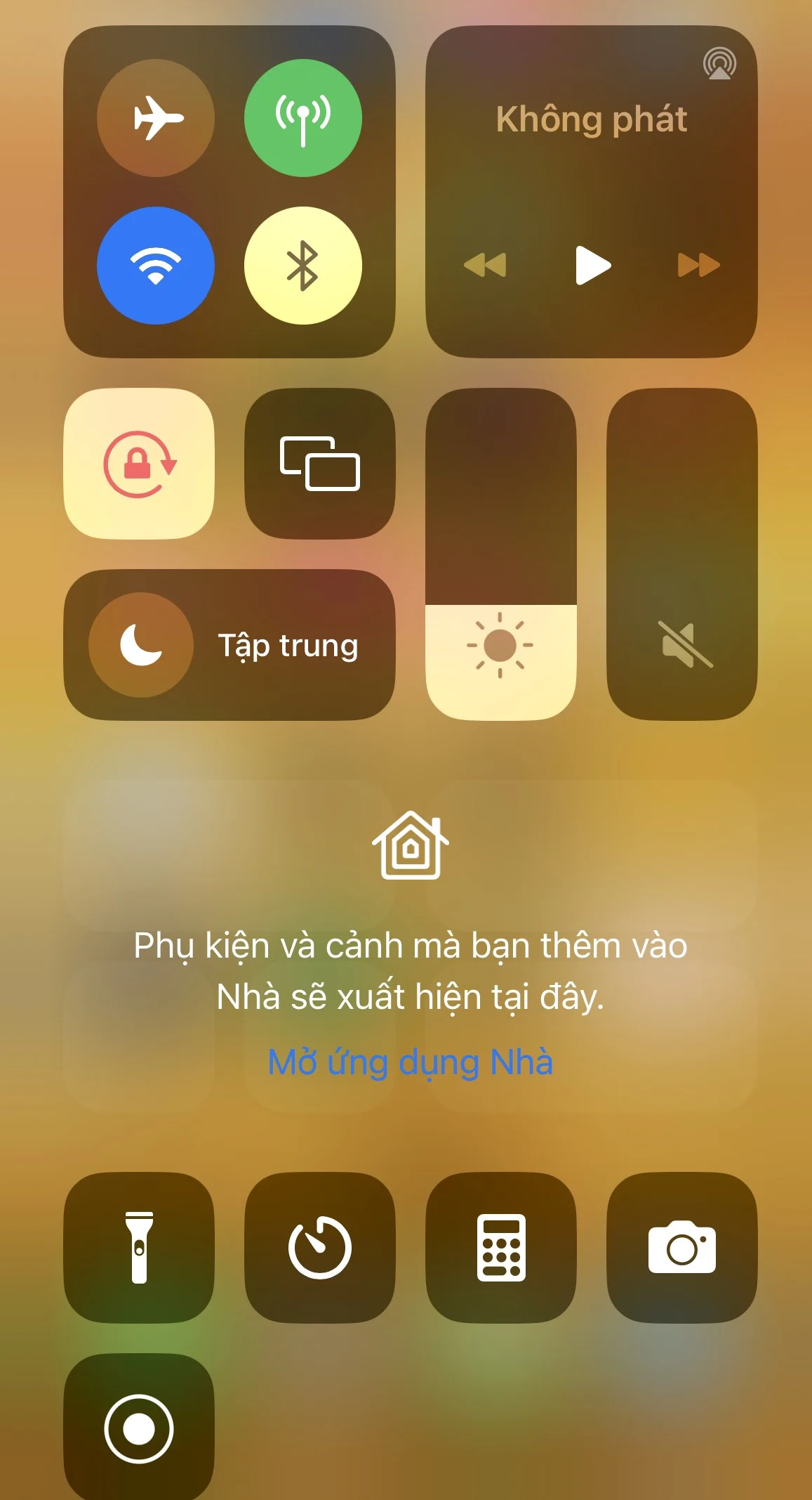 Cách xử lý khi không thể truy cập vào Google Photo