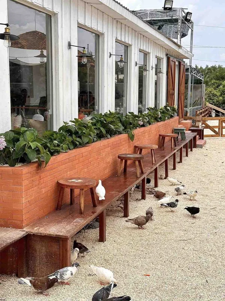 Hẹn hò 8/3 không nên bỏ qua những quán cafe này