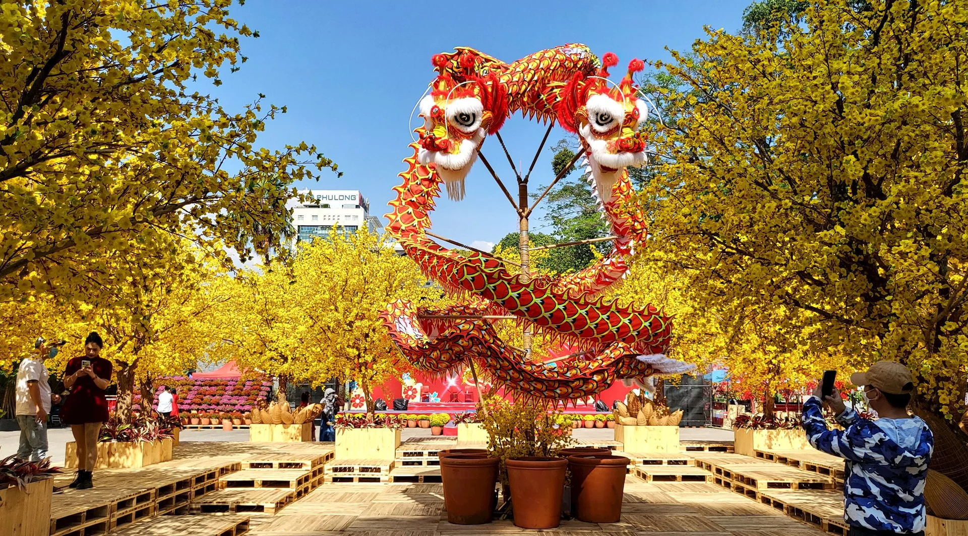 Những địa điểm chụp ảnh Tết cực đẹp tại Sài Gòn