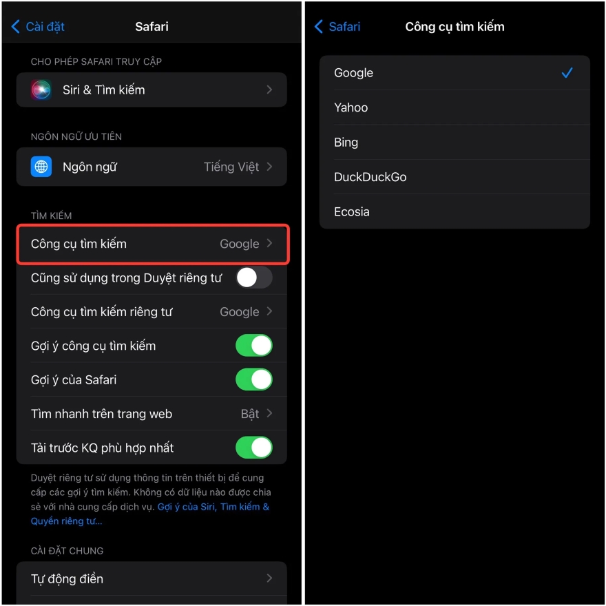 sử dụng 2 công cụ tìm kiếm trên trình duyệt Safari