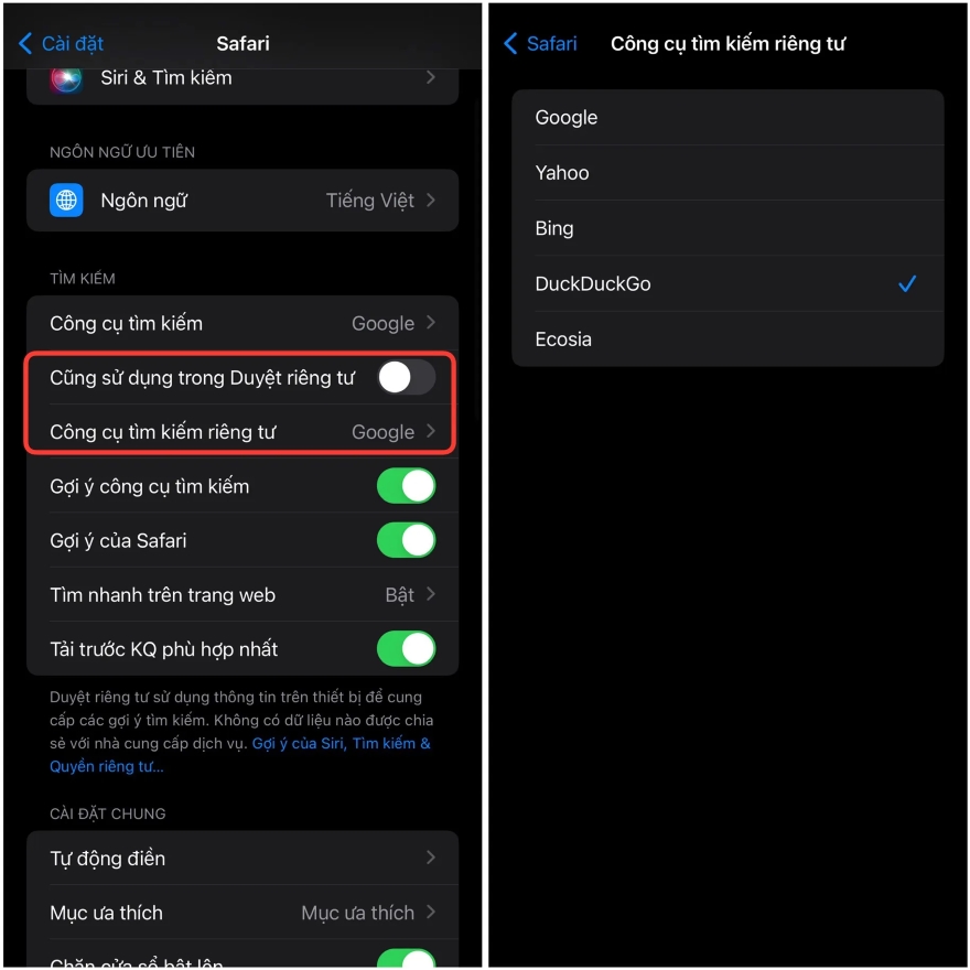 sử dụng 2 công cụ tìm kiếm trên trình duyệt Safari