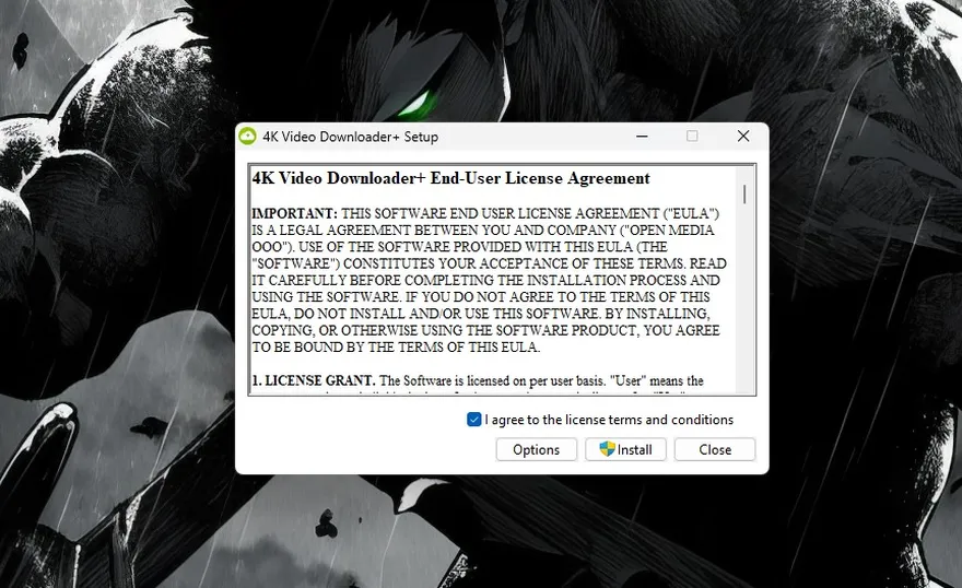 4K Video Downloader+