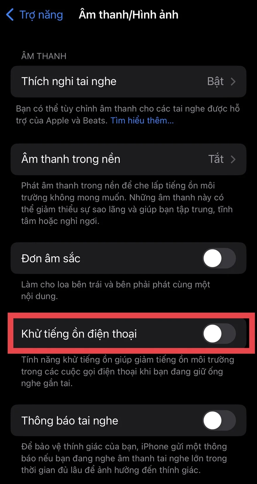 Cách bật tính năng chống ồn cuộc gọi trên iPhone