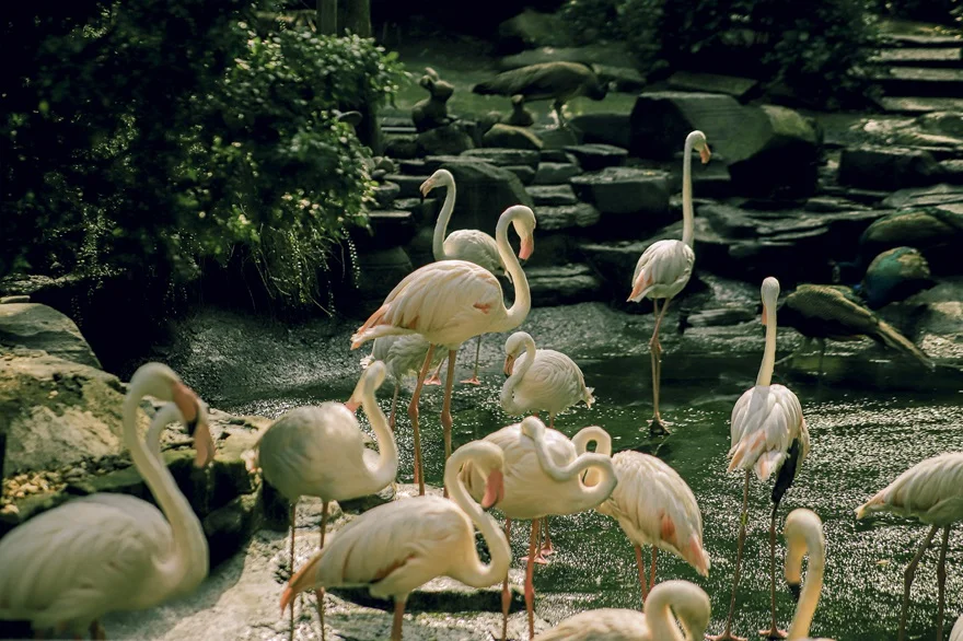 Địa điểm vui chơi Giỗ Tổ Hùng Vương tại Sài Gòn