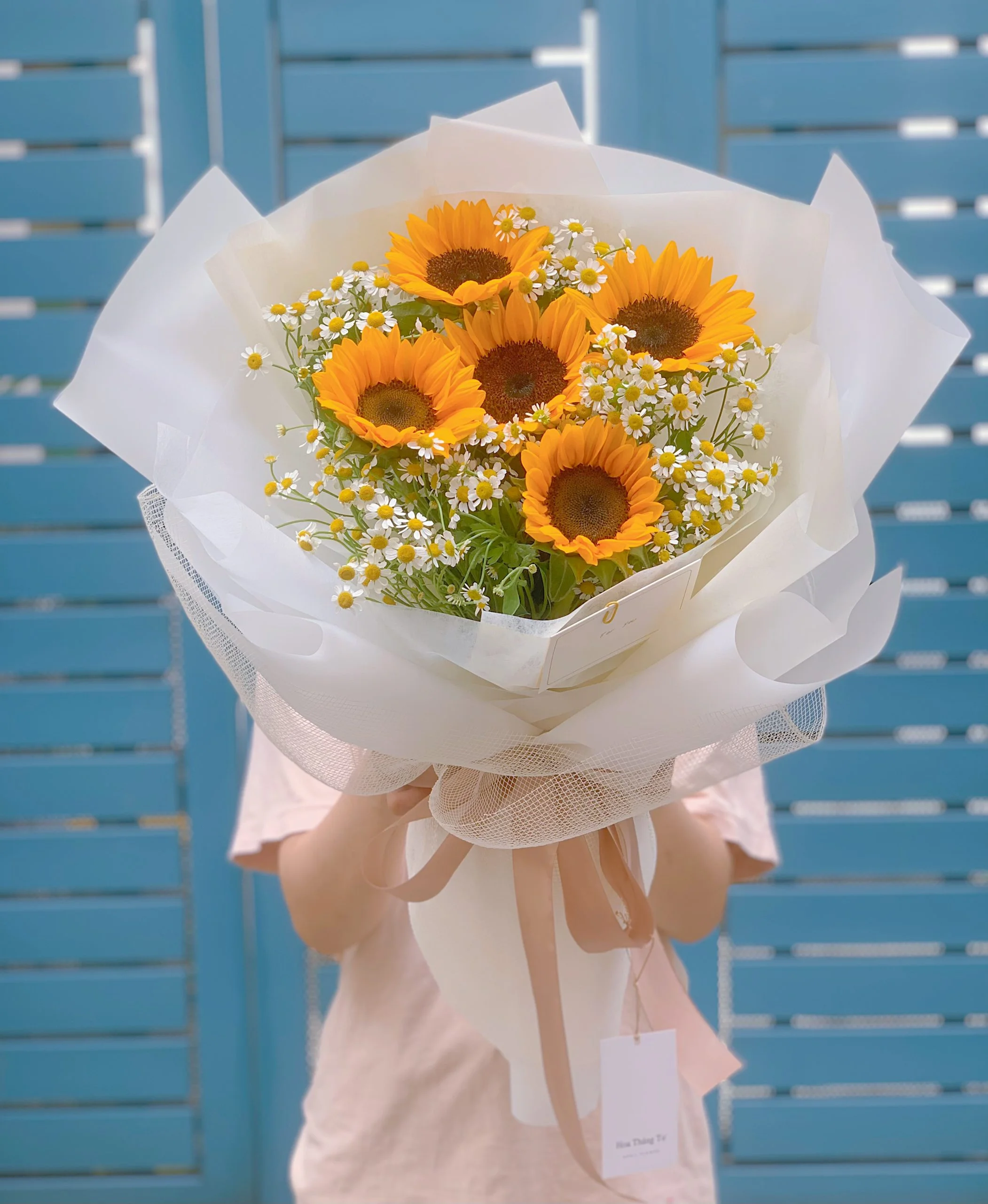 Những loài hoa nên tặng nàng 8.3 và ý nghĩa