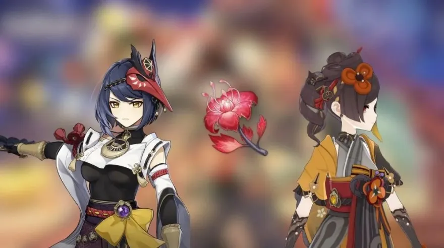 Vị trí Hoa Lan Máu