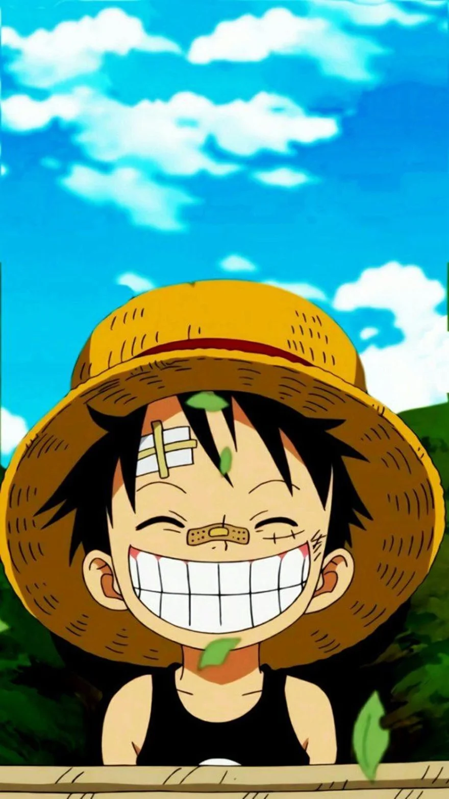Bộ hình nền điện thoại chủ đề One Piece độc đáo