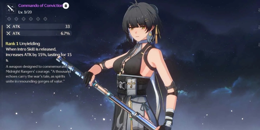 Hướng dẫn build Havoc Rover tốt nhất wuthering waves