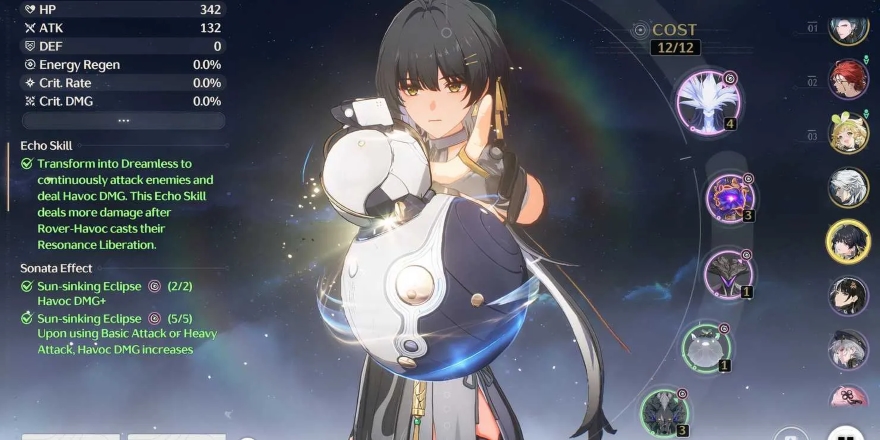 Hướng dẫn build Havoc Rover tốt nhất wuthering waves