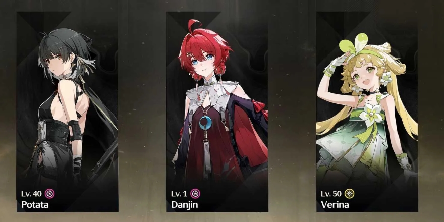 Hướng dẫn build Havoc Rover tốt nhất wuthering waves