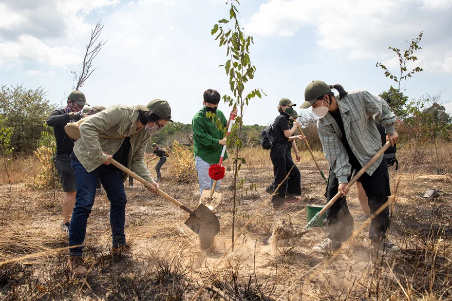 Ngày Môi trường Thế giới là ngày gì?