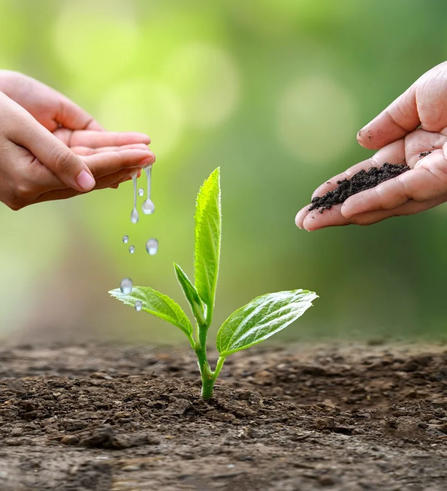 Ngày Môi trường Thế giới là ngày gì?