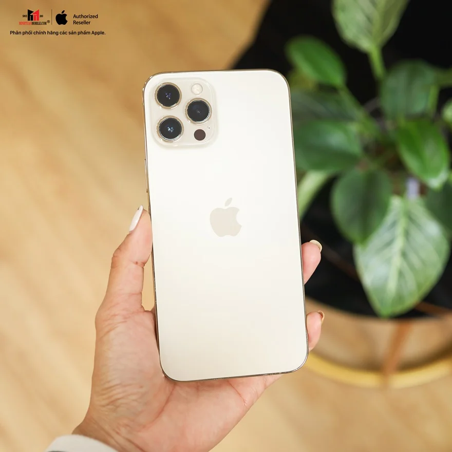 Top 3 iPhone cũ đáng mua tháng 6