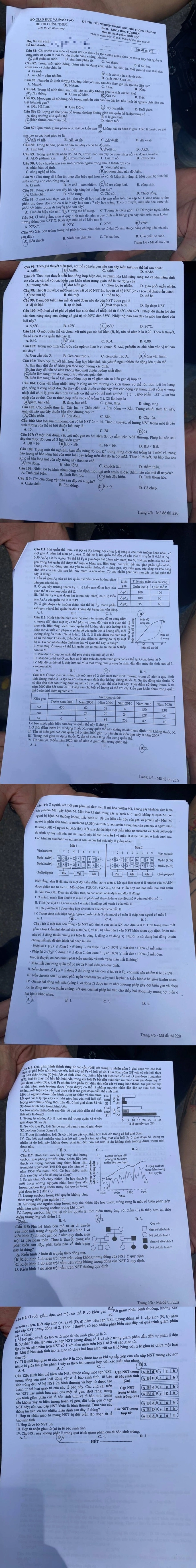 Đề thi tốt nghiệp THPT năm 2024 môn sinh