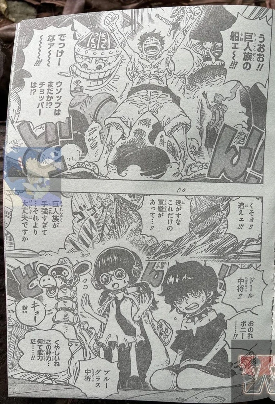 Spoiler One Piece Chap 1118: Bonney biến thành Nika