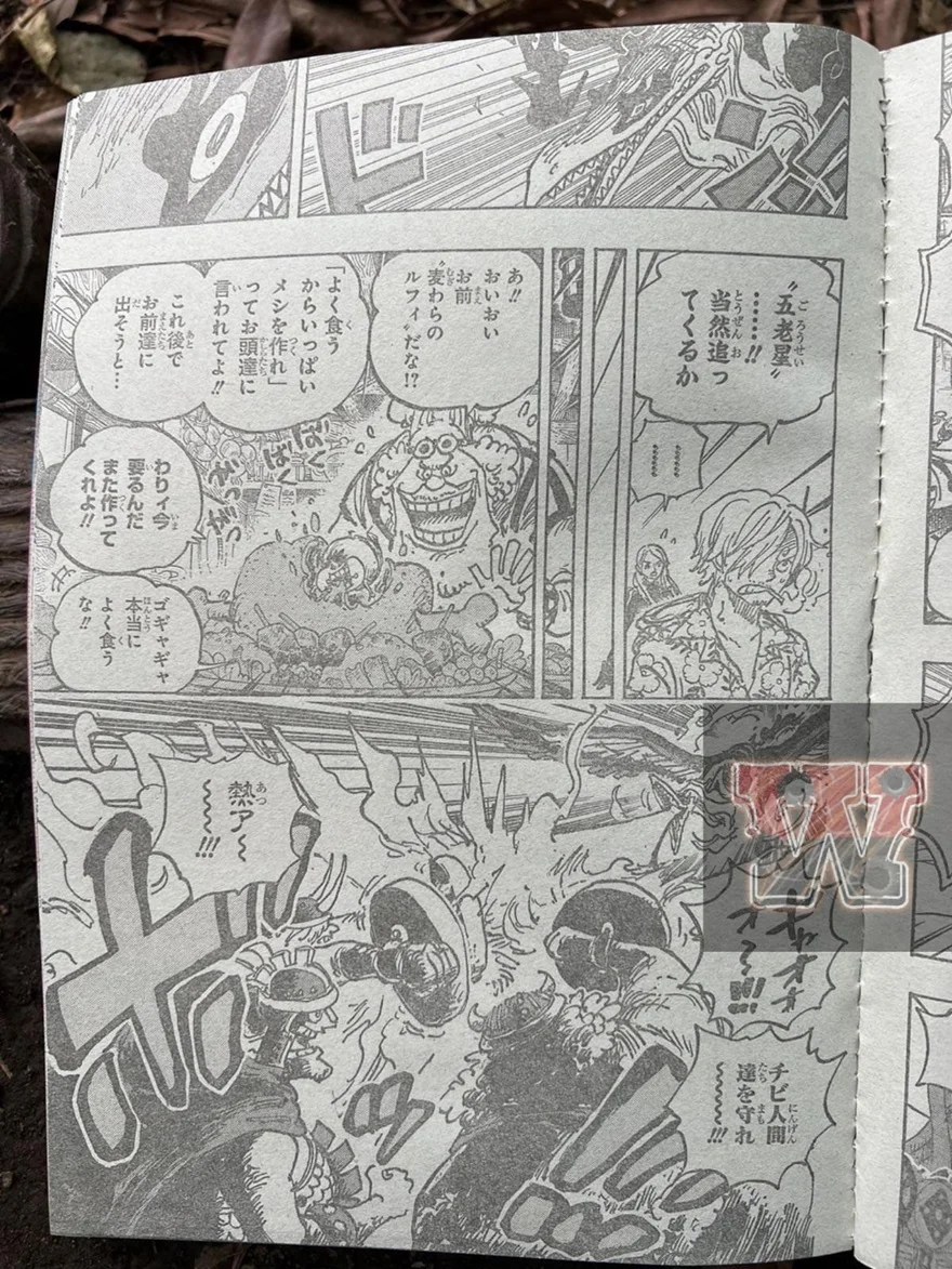 Spoiler One Piece Chap 1118: Bonney biến thành Nika