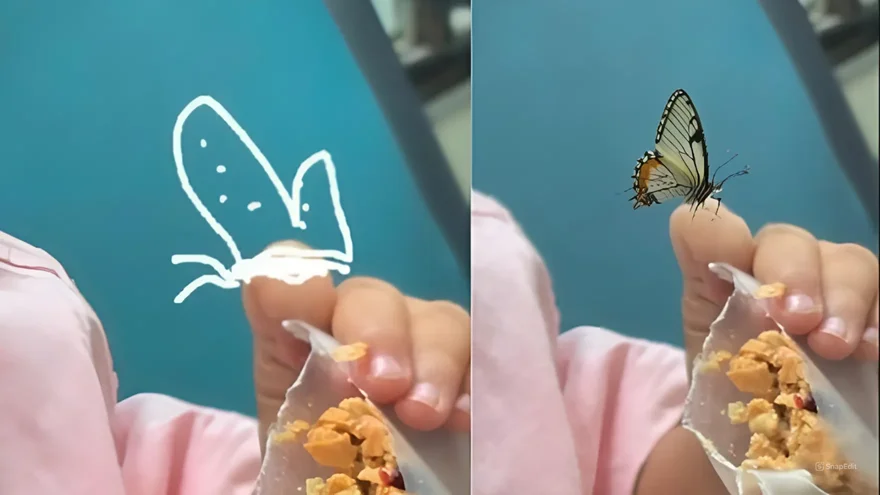 Những tính năng nổi bật trong One UI 6.1.1