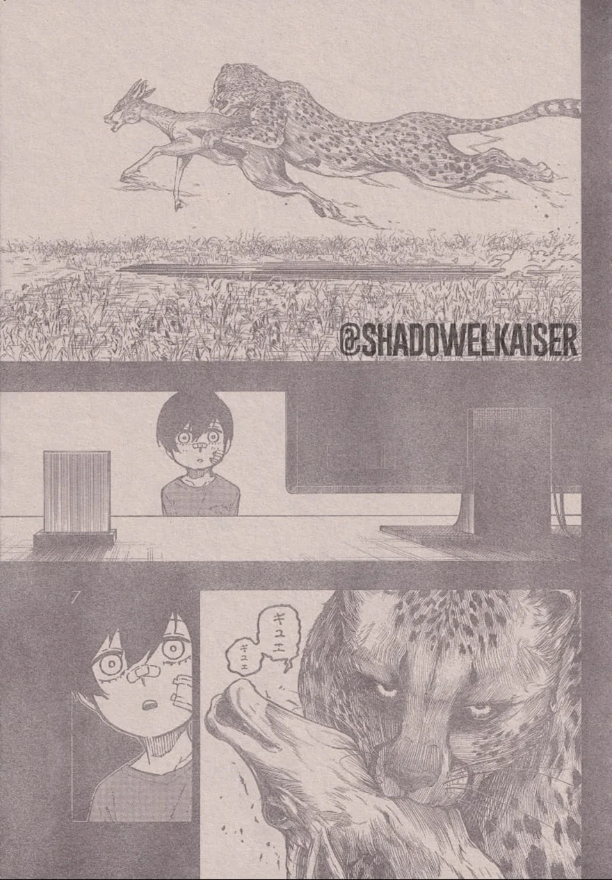 Spoiler Blue Lock chap 271: Quá khứ dữ dội của Rin