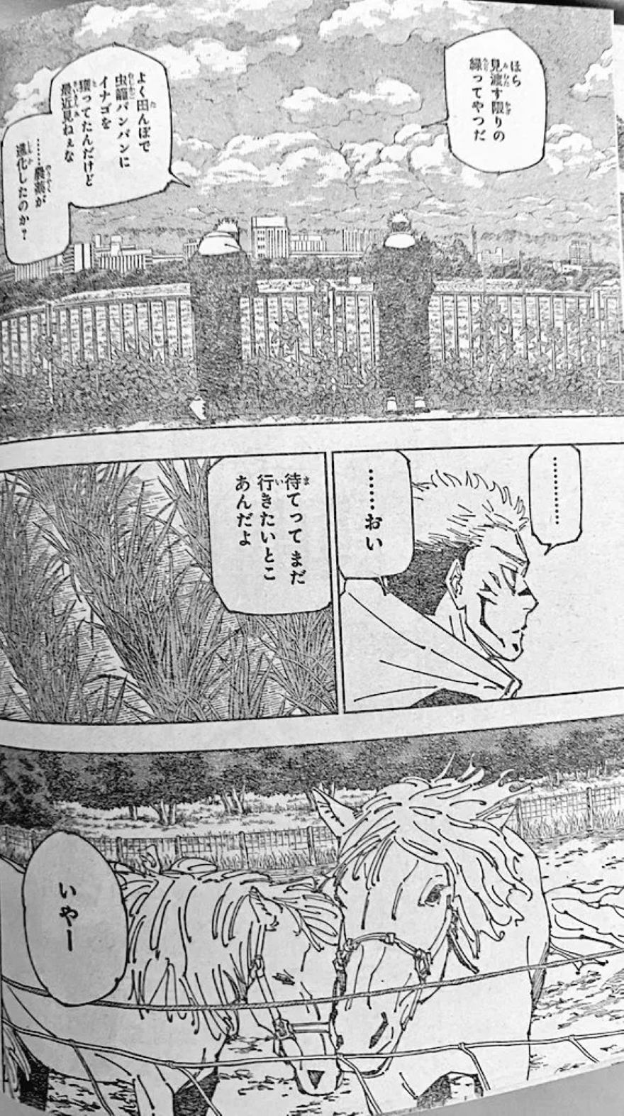 Spoiler Jujutsu Kaisen chap 265