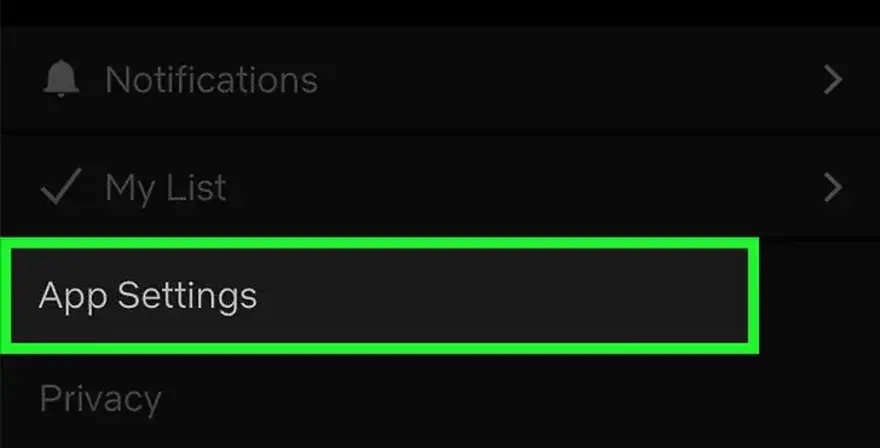Cách xem Netflix chuẩn 4K trên iPhone