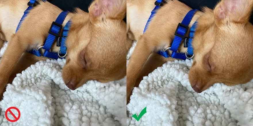 Deep Fusion là gì? Hoạt động ra sao? Cách bật, tắt trên iPhone