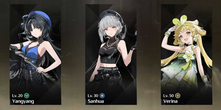 Wuthering Waves cách build yangyang