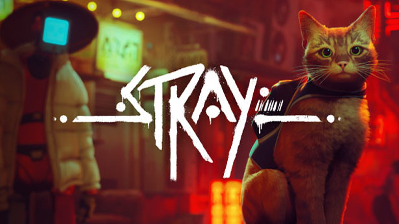 Stray
