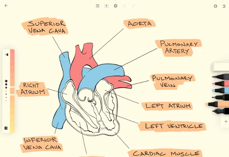 Affinity Designer là ứng dụng thiết kế vector đầy đủ tính năng tuyệt vời duy nhất trên iPad