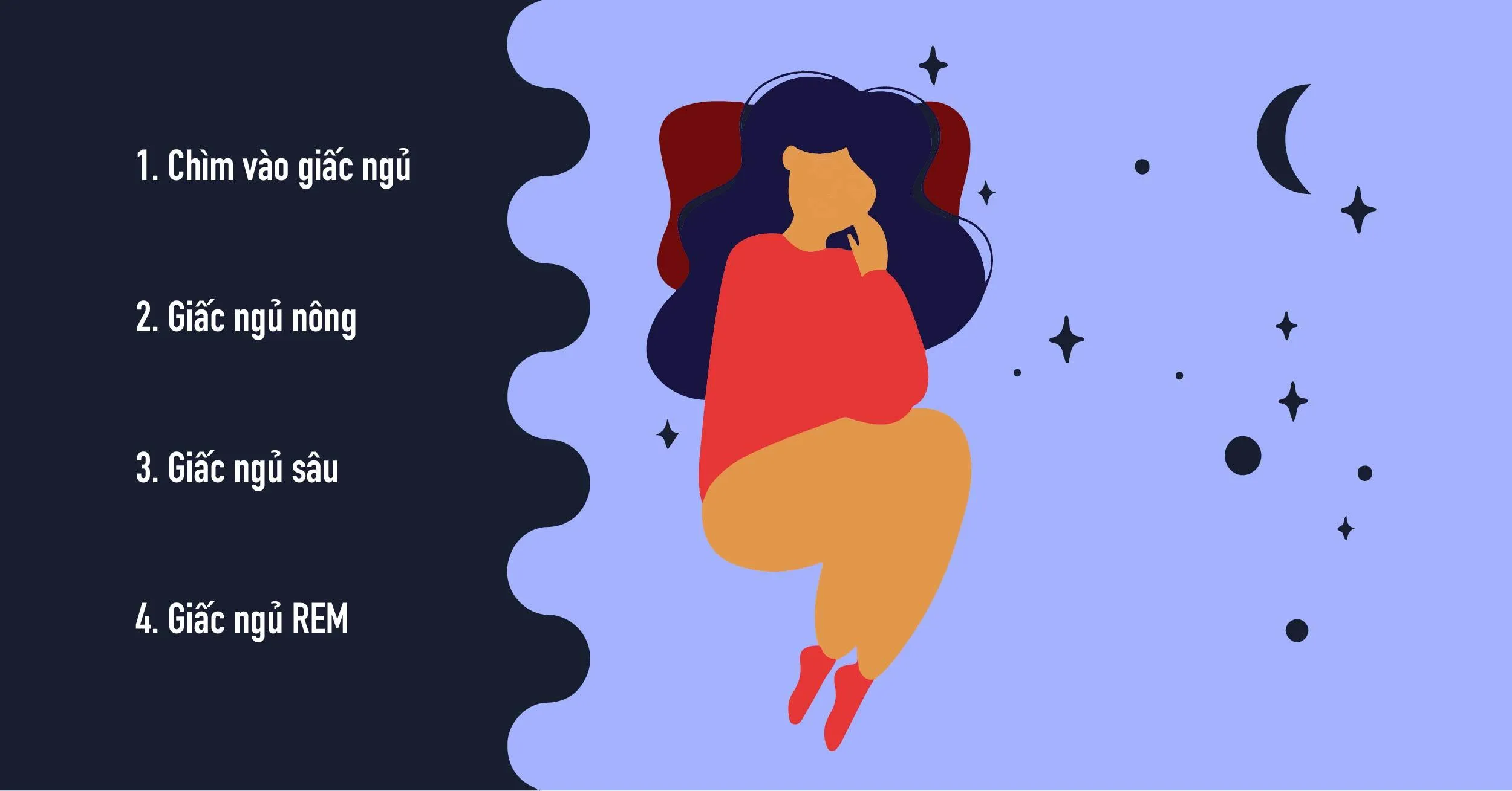 các giai đoạn của giấc ngủ
