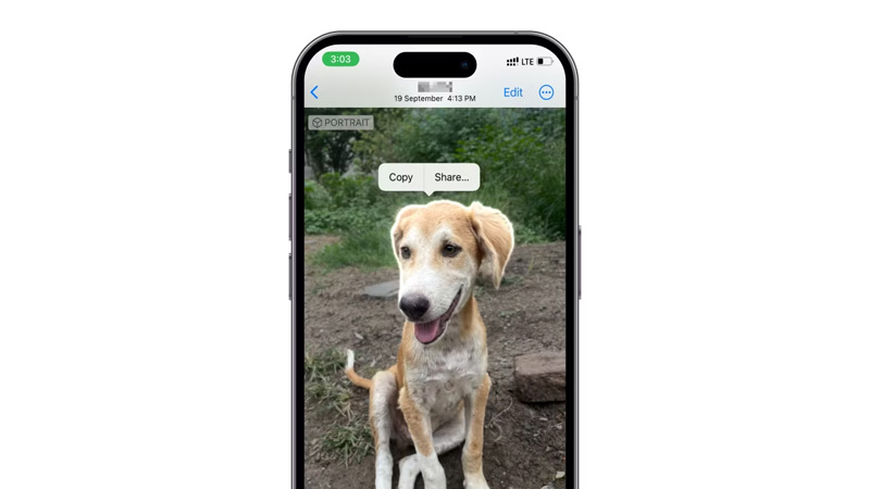 Tách nền và chủ thể trong ảnh