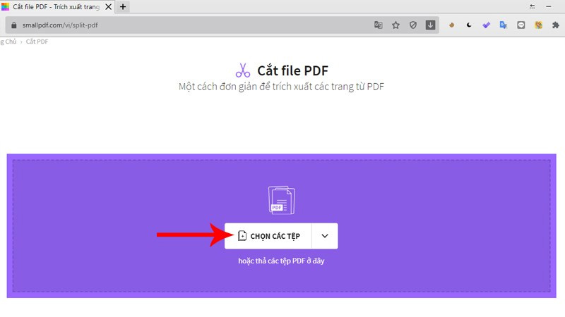 Bước 2: Tại ô màu tím ở giữa trang, bạn kéo thả file PDF cần cắt vào hoặc bạn nhấn vào Chọn các tệp > Chọn file PDF 