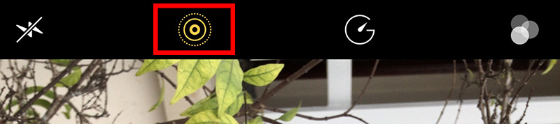 Bước 1: Khởi chạy ứng dụng Máy ảnh. Trong giao diện chụp ảnh, nhấn biểu tượng Live Photo màu vàng để tắt