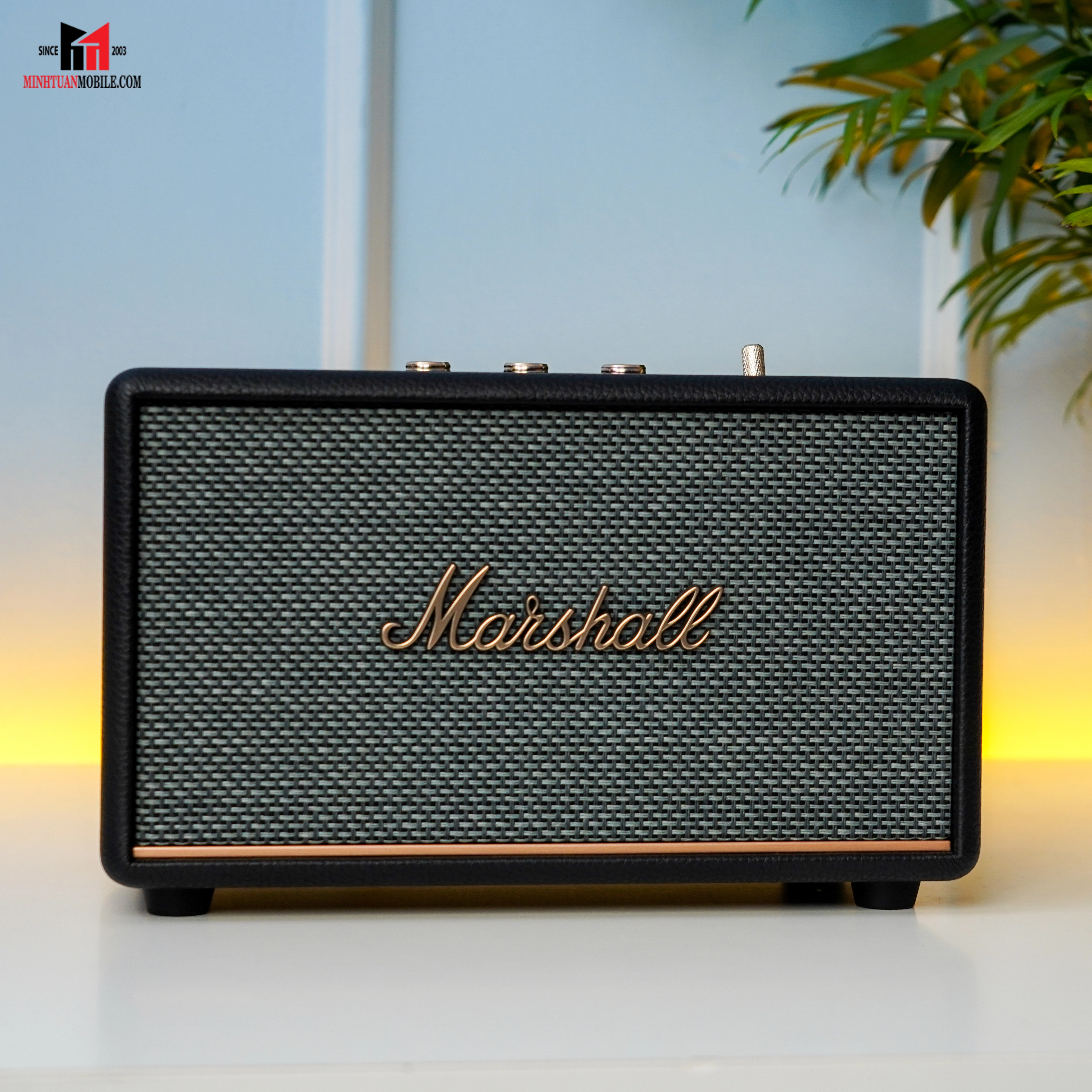 loa bluetooth marshall acton III