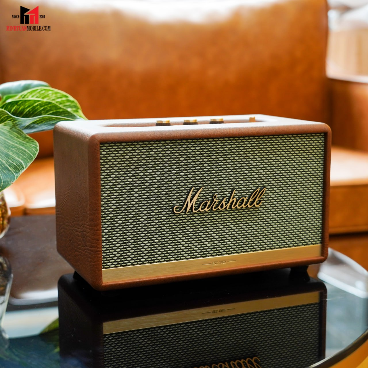 loa Marshall Acton II