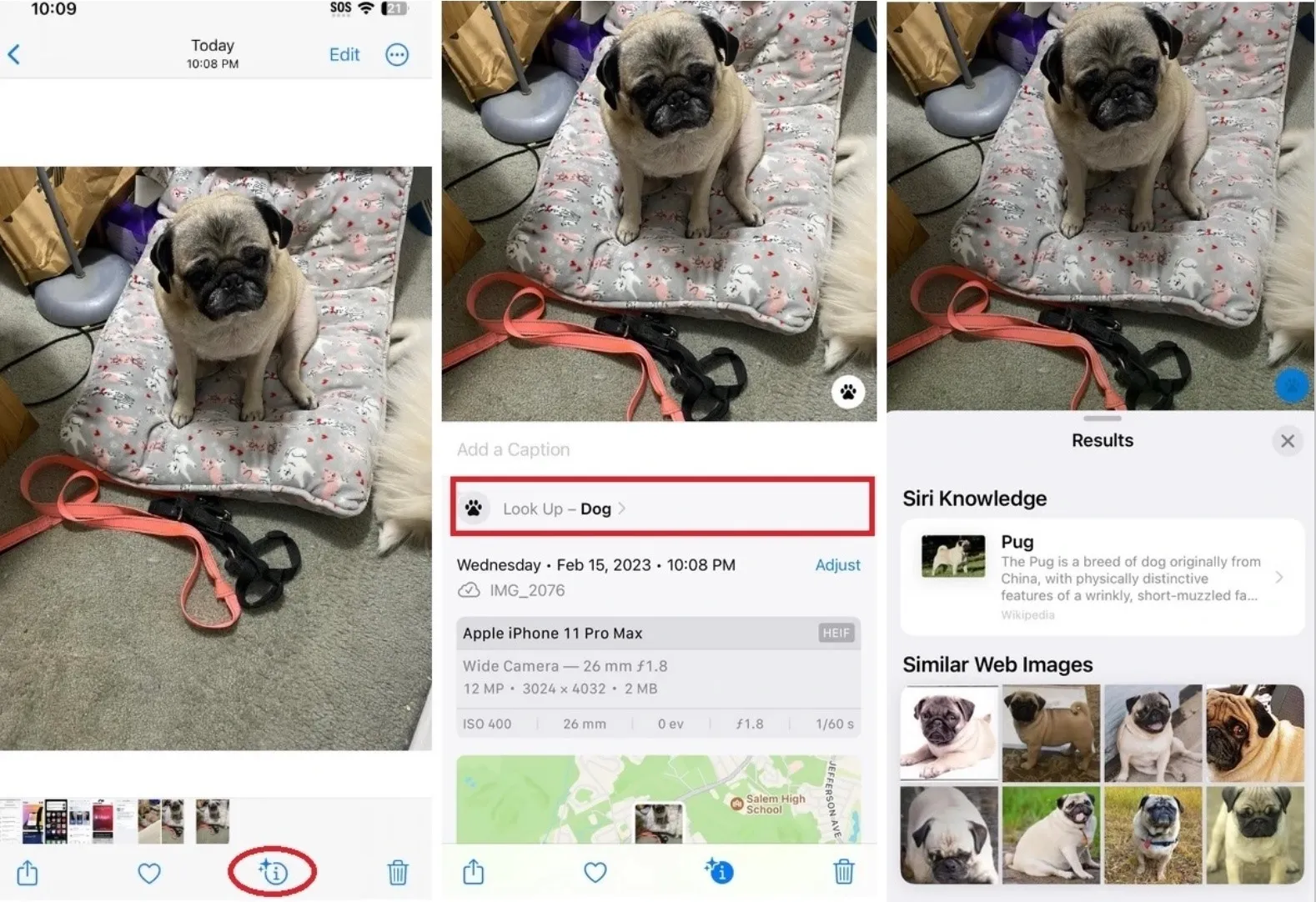 Tính năng Visual Look Up