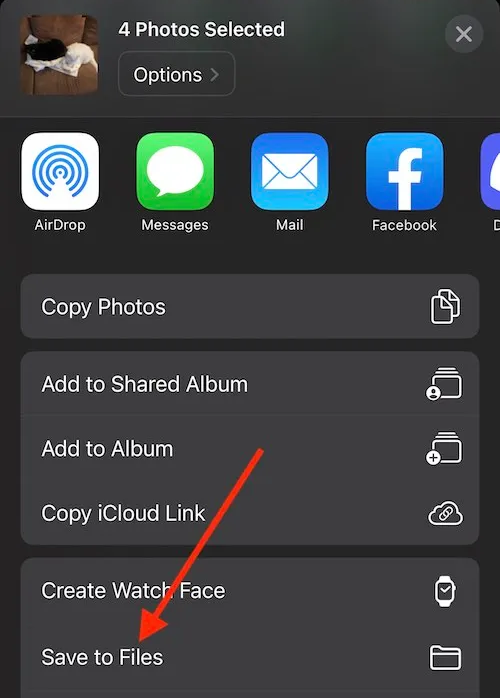 xoá phông ảnh iphone