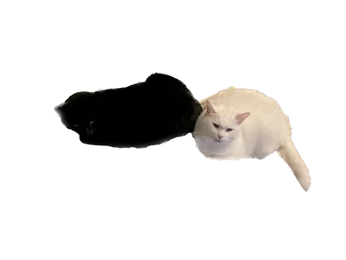 xoá phông ảnh iphone