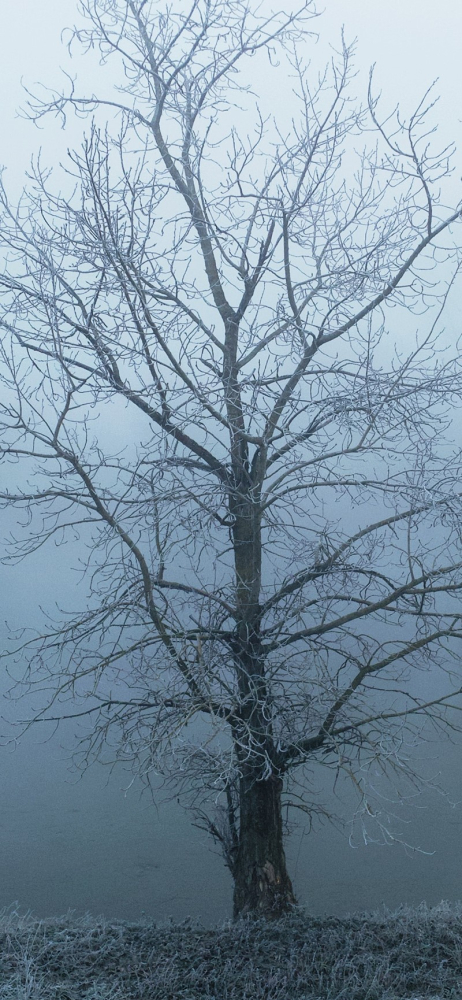 Sforum - Trang thông tin công nghệ mới nhất 30daysreplay-pr-marketing-mZzaCpT7uL0-unsplash Mời bạn đọc tải về bộ hình nền chủ đề thiên nhiên dành cho iPhone (Phần 2) 