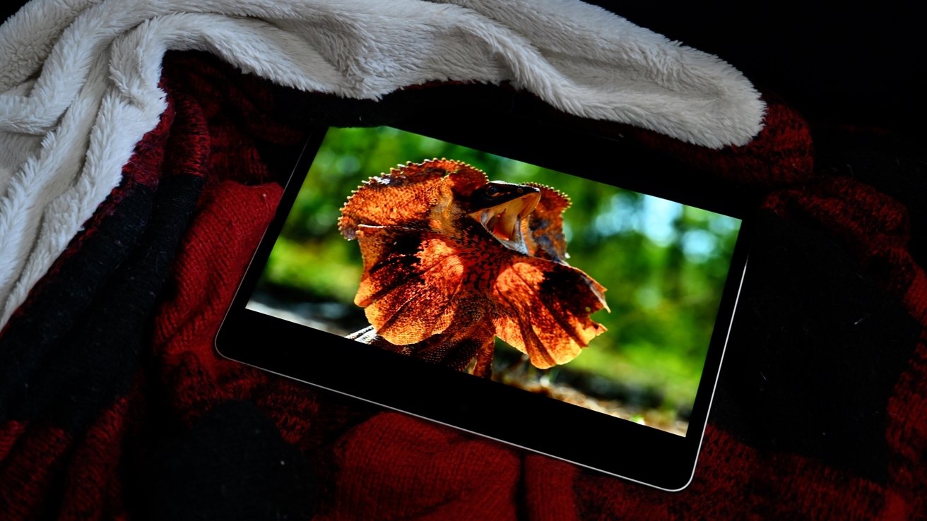 iPad Pro 12.9 inch 2021