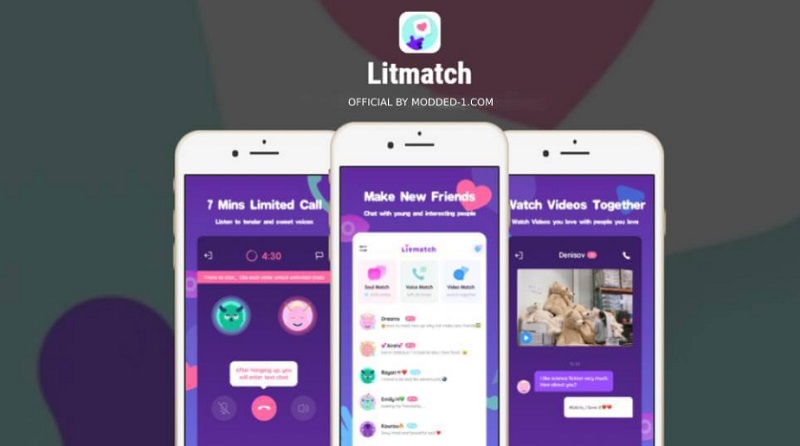 Litmatch