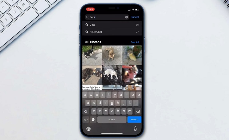 Tìm kiếm ảnh trên iPhone bằng Spotlight
