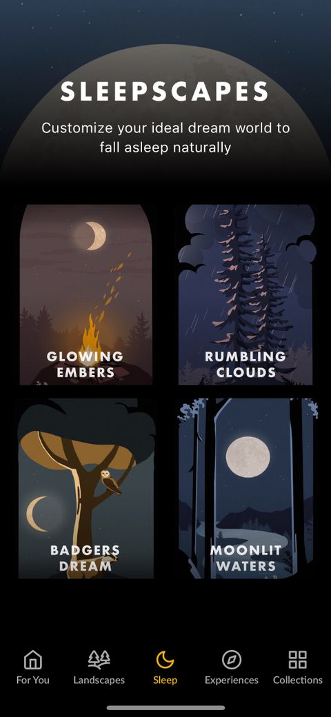 Wild Journey: Nature Sounds giúp bạn đắm mình trong sự yên bình trong rừng hoặc trên những bờ hồ ngập tràn ánh nắng.