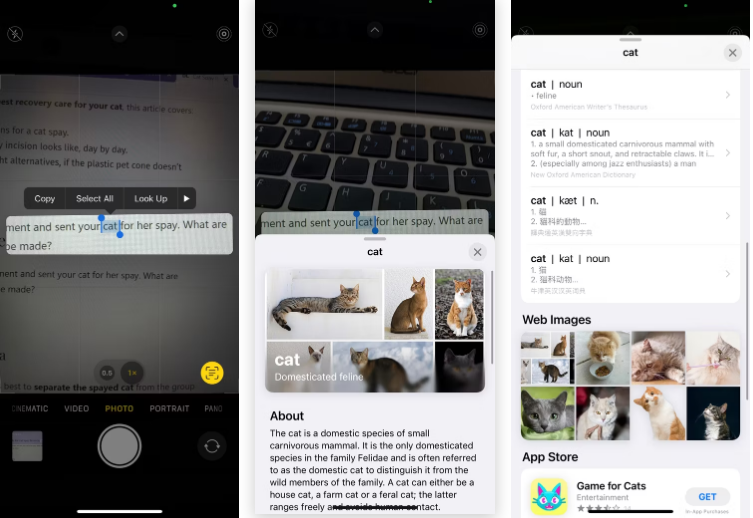 9 tính năng cực tiện dụng khi sử dụng máy quét văn bản trên iPhone