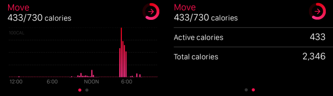 Chỉ số lượng Calo hoạt động và tổng lượng calo trên Apple Watch
