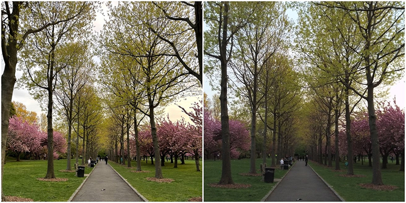 Hình ảnh chụp giữa iPhone 12 Pro và Wristcam