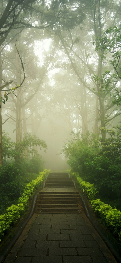 Tải ngay bộ hình nền chủ đề sương mù dành cho iPhone